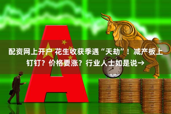 配资网上开户 花生收获季遇“天劫”！减产板上钉钉？价格要涨？行业人士如是说→